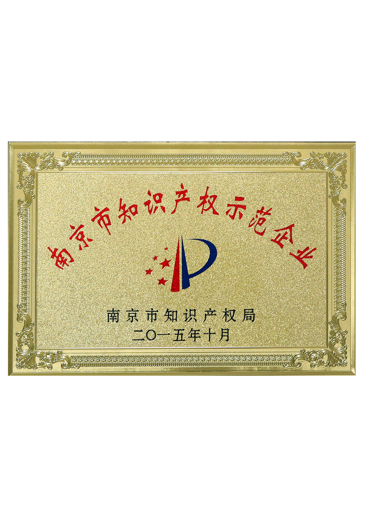 南京市知識產權示范企業